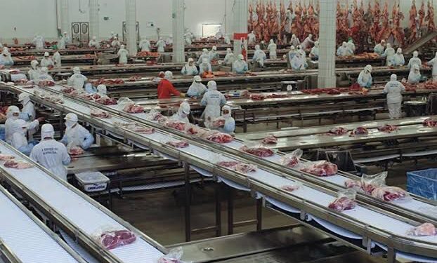 Exportações de carne bovina batem recorde histórico às vésperas do tarifaço dos EUA