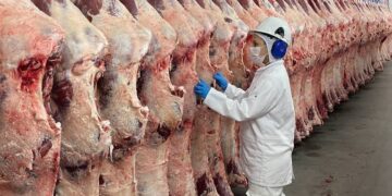 China prorroga investigação sobre carne bovina importada