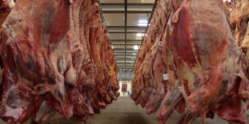 Avanço das exportações de carne bovina supera o aumento da produção