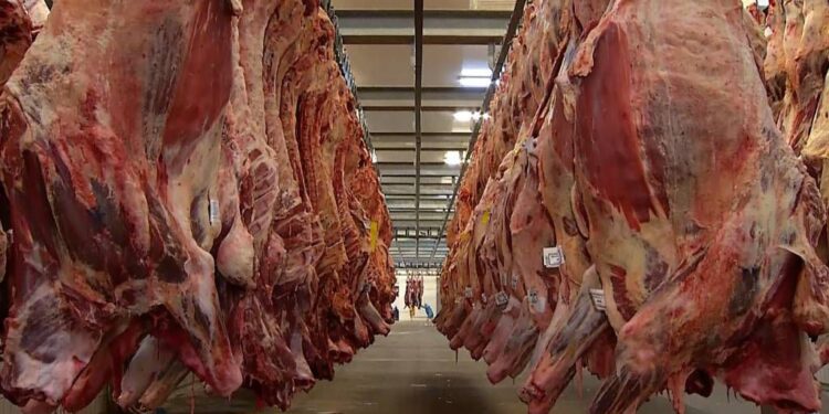 Avanço das exportações de carne bovina supera o aumento da produção
