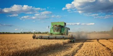 Mercado de trabalho: Agronegócio responde por 26% do total de trabalhadores do Brasil, aponta Cepea