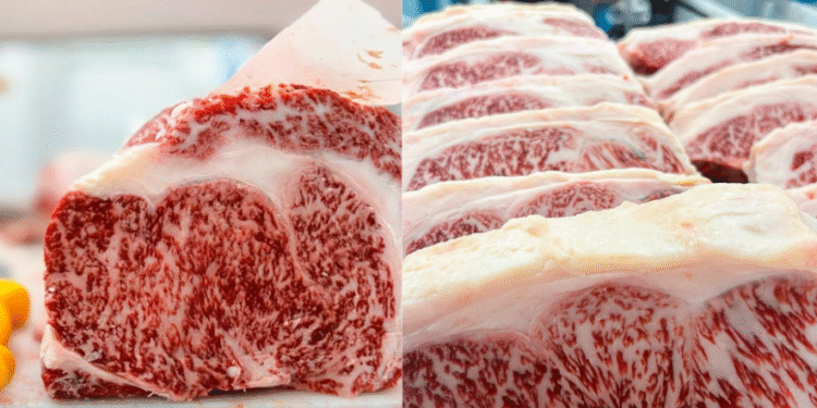 Leilão beneficente vai ofertar carne Wagyu com marmoreio máximo