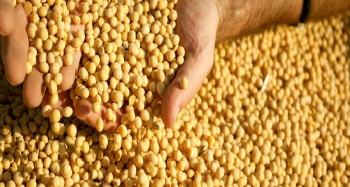 Cade decide manter Moratória da Soja até o fim do ano