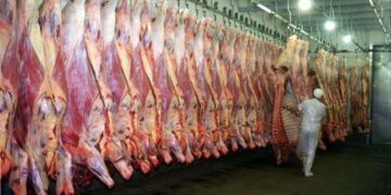Cresce a importância do México entre os compradores de carne bovina brasileira