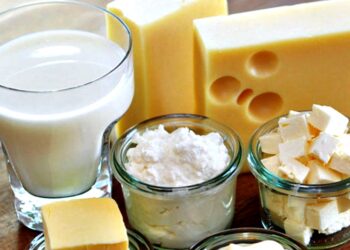 Importações de leite e derivados recuam em agosto