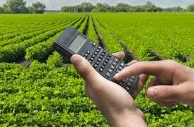 Reforma tributária: a promessa de simplificação é, na verdade, uma armadilha para o agro