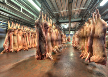 Exportações de carne suína alcançam maior volume mensal da história