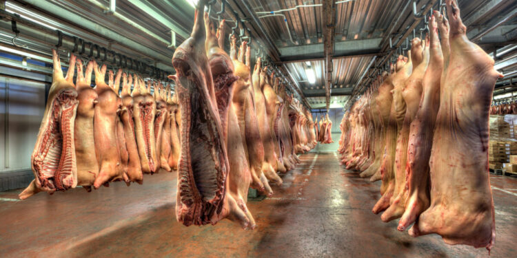 Exportações de carne suína alcançam maior volume mensal da história