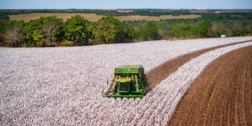 Operação Safra inicia hoje, com reforço na segurança e ações de defesa sanitária vegetal