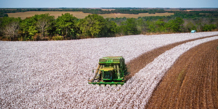 Operação Safra inicia hoje, com reforço na segurança e ações de defesa sanitária vegetal
