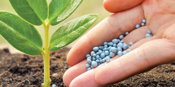 IPCF de setembro recua 7% e fertilizantes mais acessíveis ampliam poder de compra do produtor