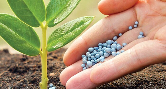 IPCF de setembro recua 7% e fertilizantes mais acessíveis ampliam poder de compra do produtor