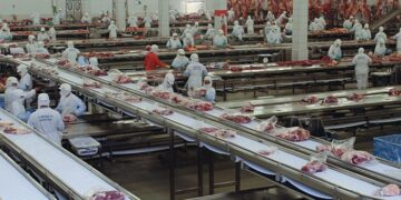 Exportação de carne bovina bate recordes em setembro