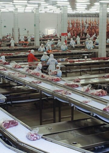 Exportação de carne bovina bate recordes em setembro