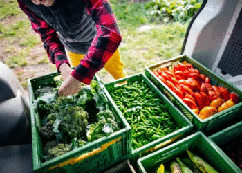 Em ano de COP30 no Brasil, apenas metade dos brasileiros tem conhecimento sobre sistemas alimentares sustentáveis, aponta pesquisa