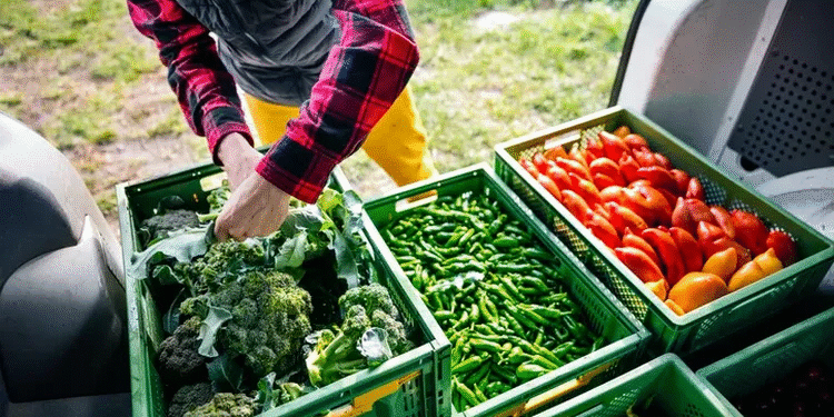 Em ano de COP30 no Brasil, apenas metade dos brasileiros tem conhecimento sobre sistemas alimentares sustentáveis, aponta pesquisa
