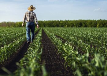 Reforma tributária: a promessa de simplificação é, na verdade, uma armadilha para o agro