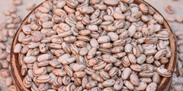 Feijão preto fica mais barato e carioca segue mais caro no Brasil