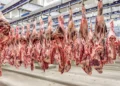 Exportações de carne bovina em novembro crescem 39,6% na comparação anual