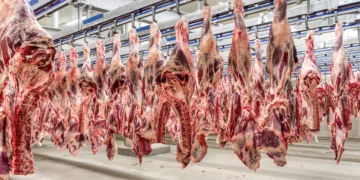 Exportações de carne bovina batem recorde em 2025 com forte dependência da China