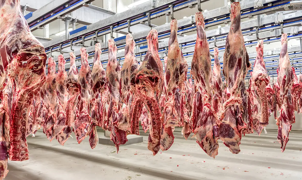Carne bovina brasileira fecha 2025 com recorde nas exportações