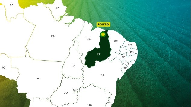 Foco de peste suína clássica no Piauí não afeta exportações do Brasil