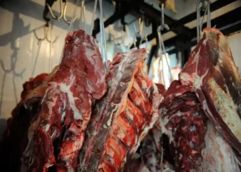 China adota cotas e tarifa adicional de 55% para importação de carne bovina