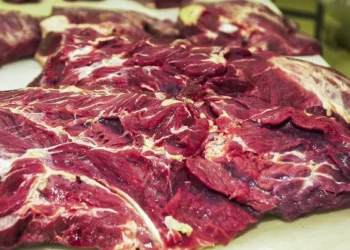 Carne bovina brasileira na mira do protecionismo global