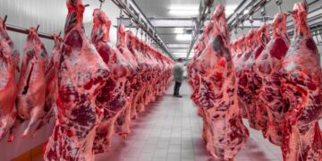 Cotas da China sobre carne bovina brasileira pode acirrar concorrência no mercado interno