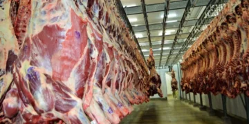 Exportações de carne bovina para a União Europeia crescem em volume e faturamento
