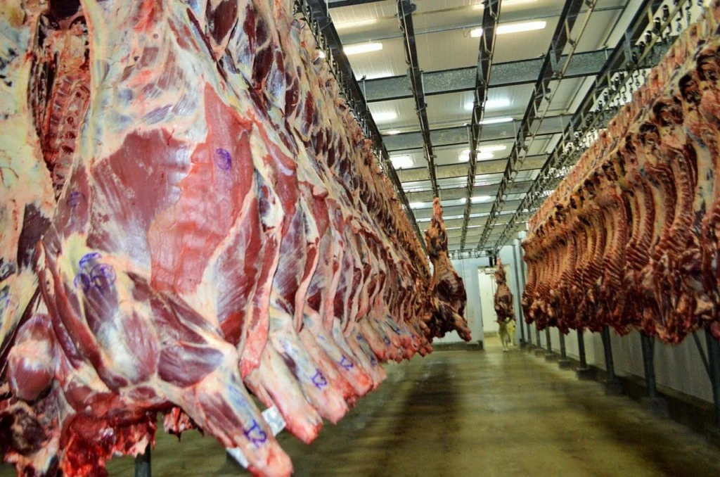 Exportações de carne bovina crescem em volume e faturamento para a União Europeia